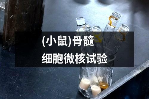 (小鼠)骨髓细胞微核试验