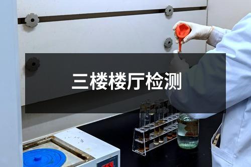 三楼楼厅检测