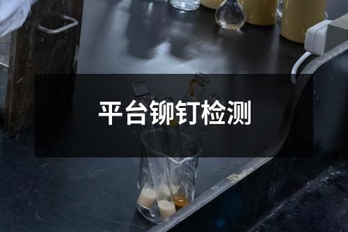 平台铆钉检测