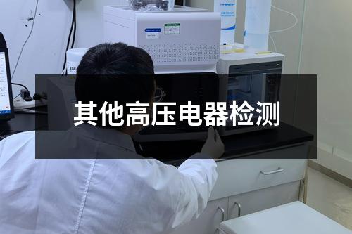 其他高压电器检测