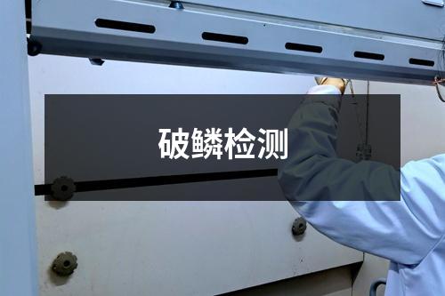 破鳞检测