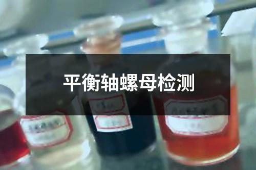 平衡轴螺母检测