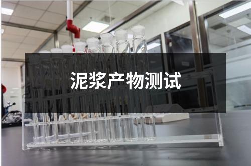 泥浆产物测试