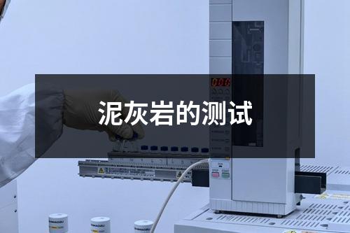 泥灰岩的测试