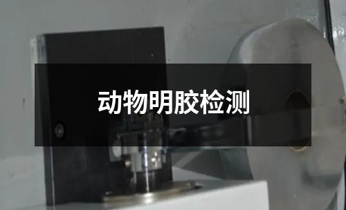 动物明胶检测