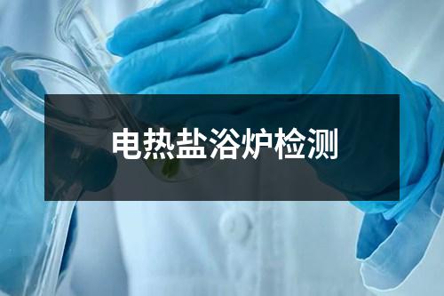 电热盐浴炉检测