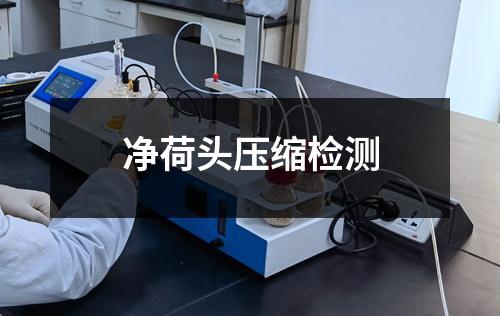 净荷头压缩检测