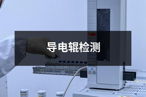 导电辊检测
