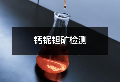 钙铌钽矿检测