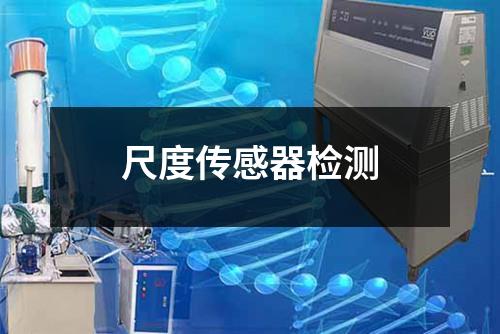 尺度传感器检测