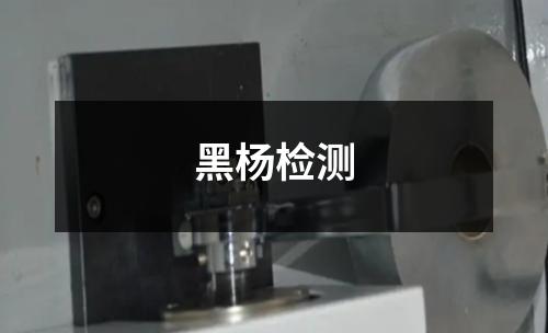 黑杨检测