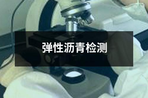 弹性沥青检测