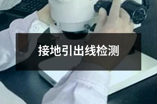 接地引出线检测
