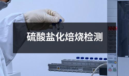 硫酸盐化焙烧检测