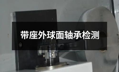带座外球面轴承检测