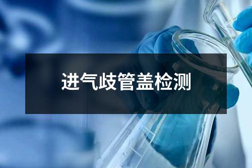 进气歧管盖检测