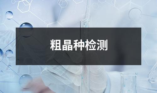 粗晶种检测