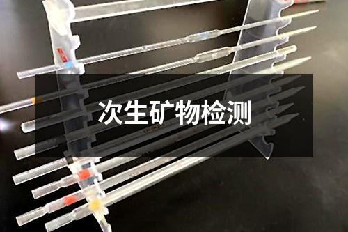 次生矿物检测