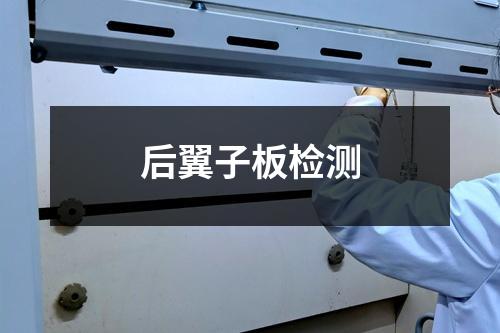 后翼子板检测