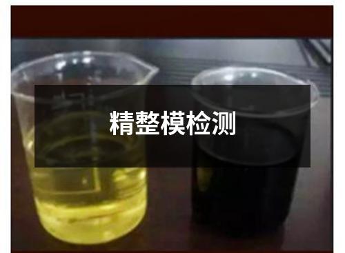 精整模检测