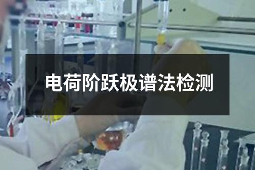 电荷阶跃极谱法检测