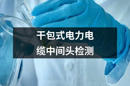 干包式电力电缆中间头检测