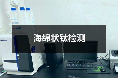 海绵状钛检测