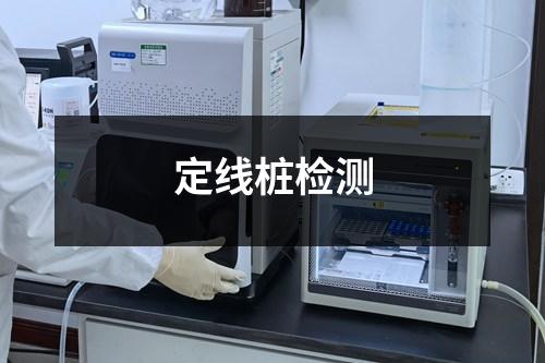 定线桩检测