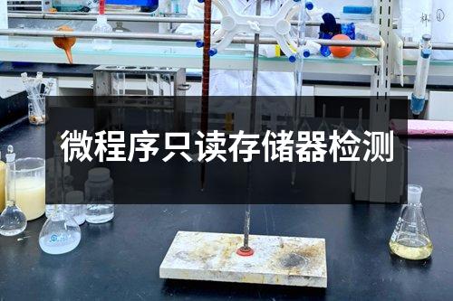微程序只读存储器检测