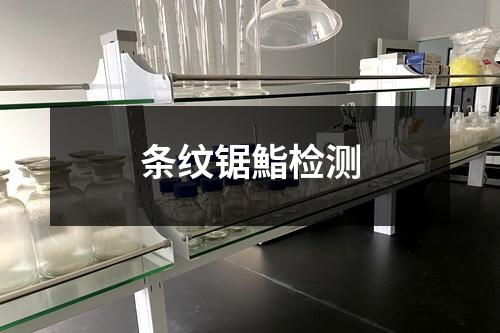 条纹锯鮨检测