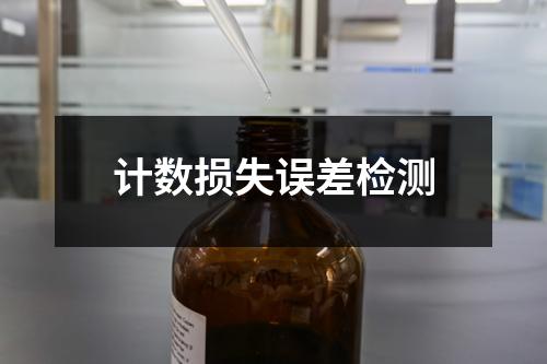 计数损失误差检测
