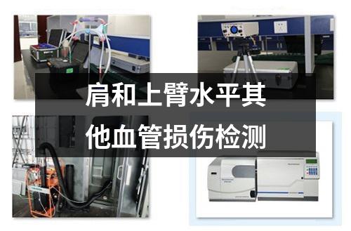 肩和上臂水平其他血管损伤检测