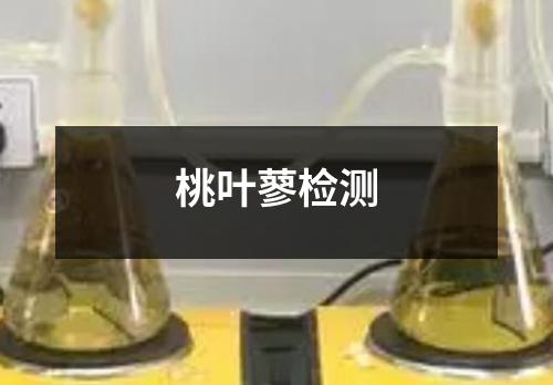 桃叶蓼检测