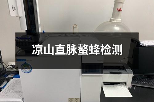 凉山直脉螯蜂检测