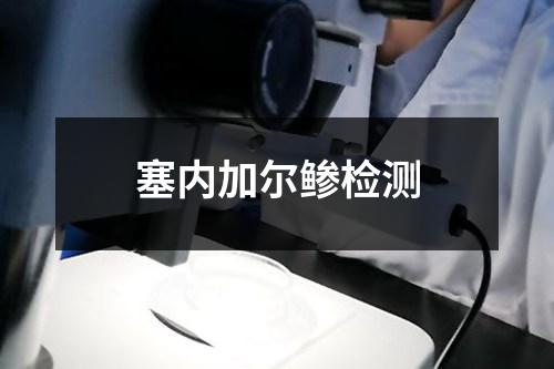 塞内加尔鲹检测