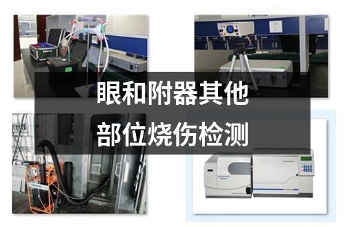 眼和附器其他部位烧伤检测