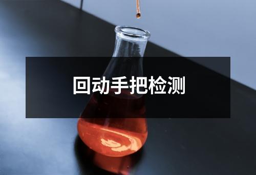 回动手把检测