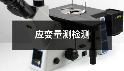 应变量测检测