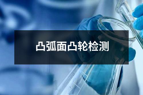 凸弧面凸轮检测