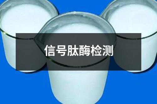 信号肽酶检测