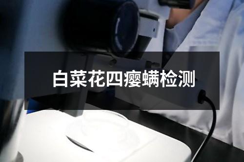 白菜花四瘿螨检测